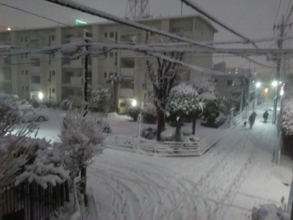 雪、雪～_d0116059_17400844.jpg