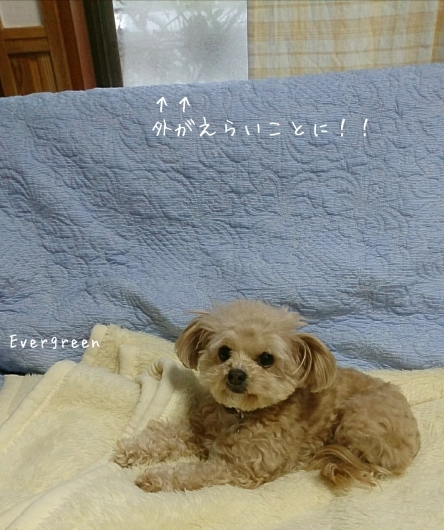 d0362666_19103585.jpg