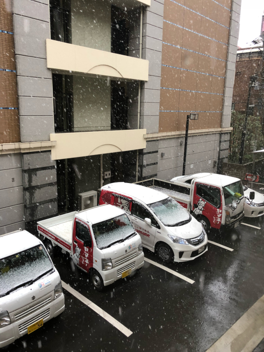 大雪ですw（横浜では）_f0096666_17582861.jpg