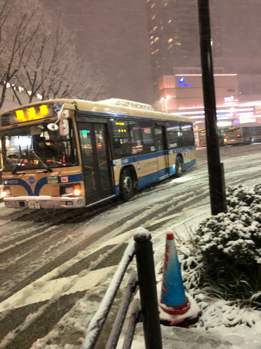 大雪ですw（横浜では）_f0096666_18061378.jpg