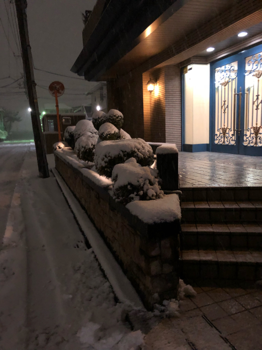 大雪ですw（横浜では）_f0096666_20244969.jpg