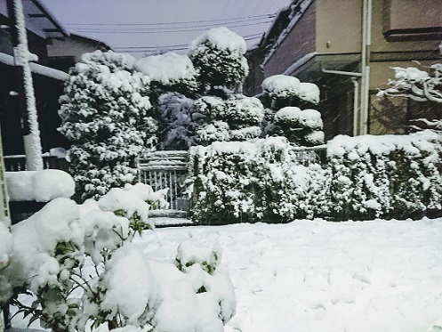 4年ぶりの大雪だぁ～！_a0267370_23572928.jpg