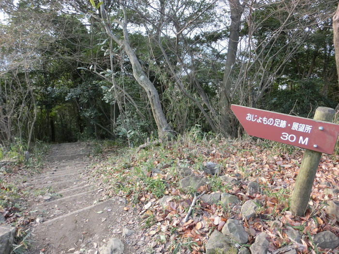 No478初登りは讃岐富士＆大麻山はガケ崩れ通行止め_b0185573_17301667.jpg