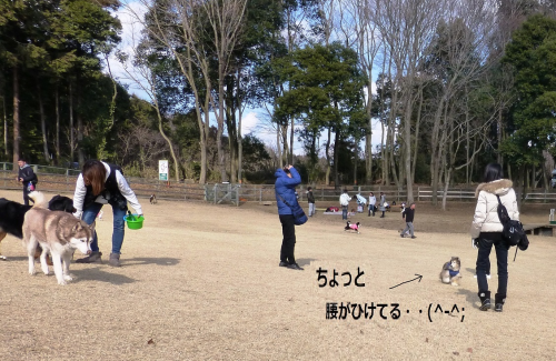 a0157174_14393147.png