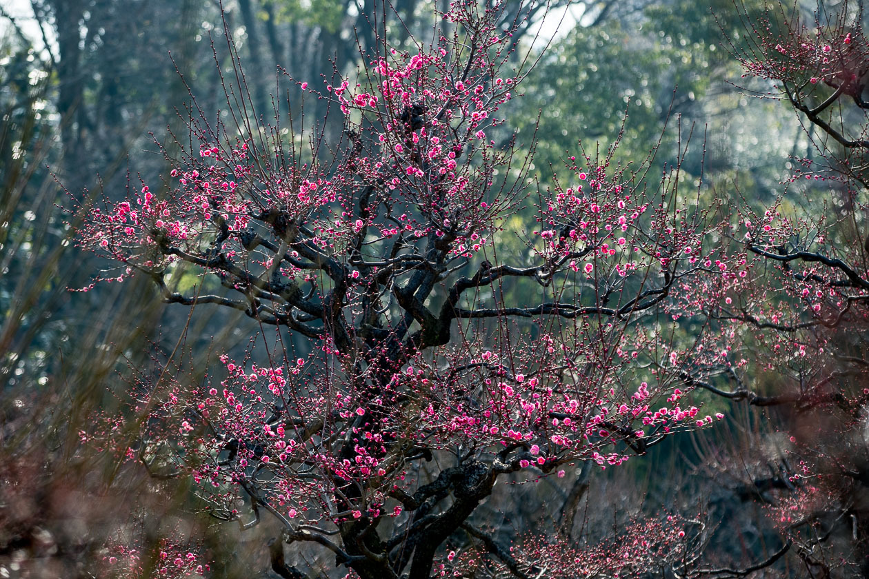 a0301676_11122931.jpg