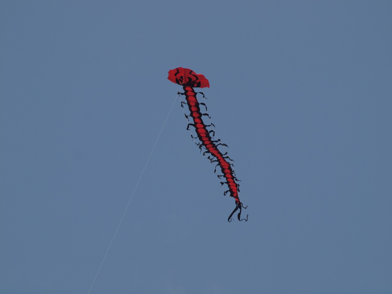 d0054276_20271472.jpg