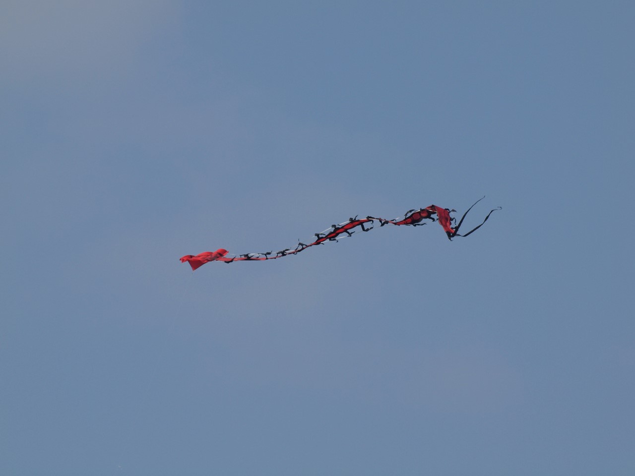 d0054276_20272447.jpg