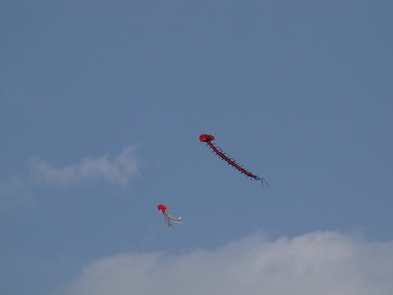 d0054276_20274743.jpg