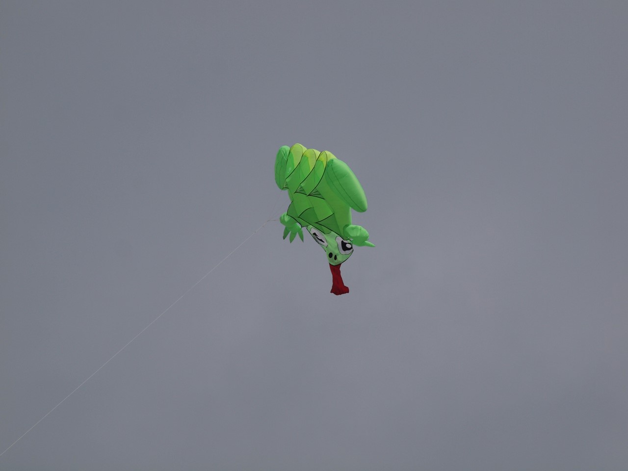 d0054276_2028123.jpg