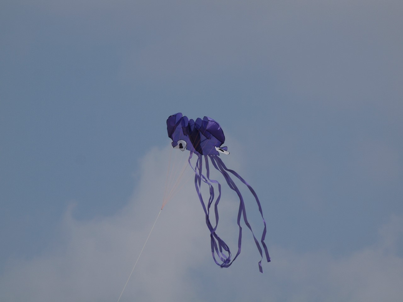 d0054276_20283315.jpg