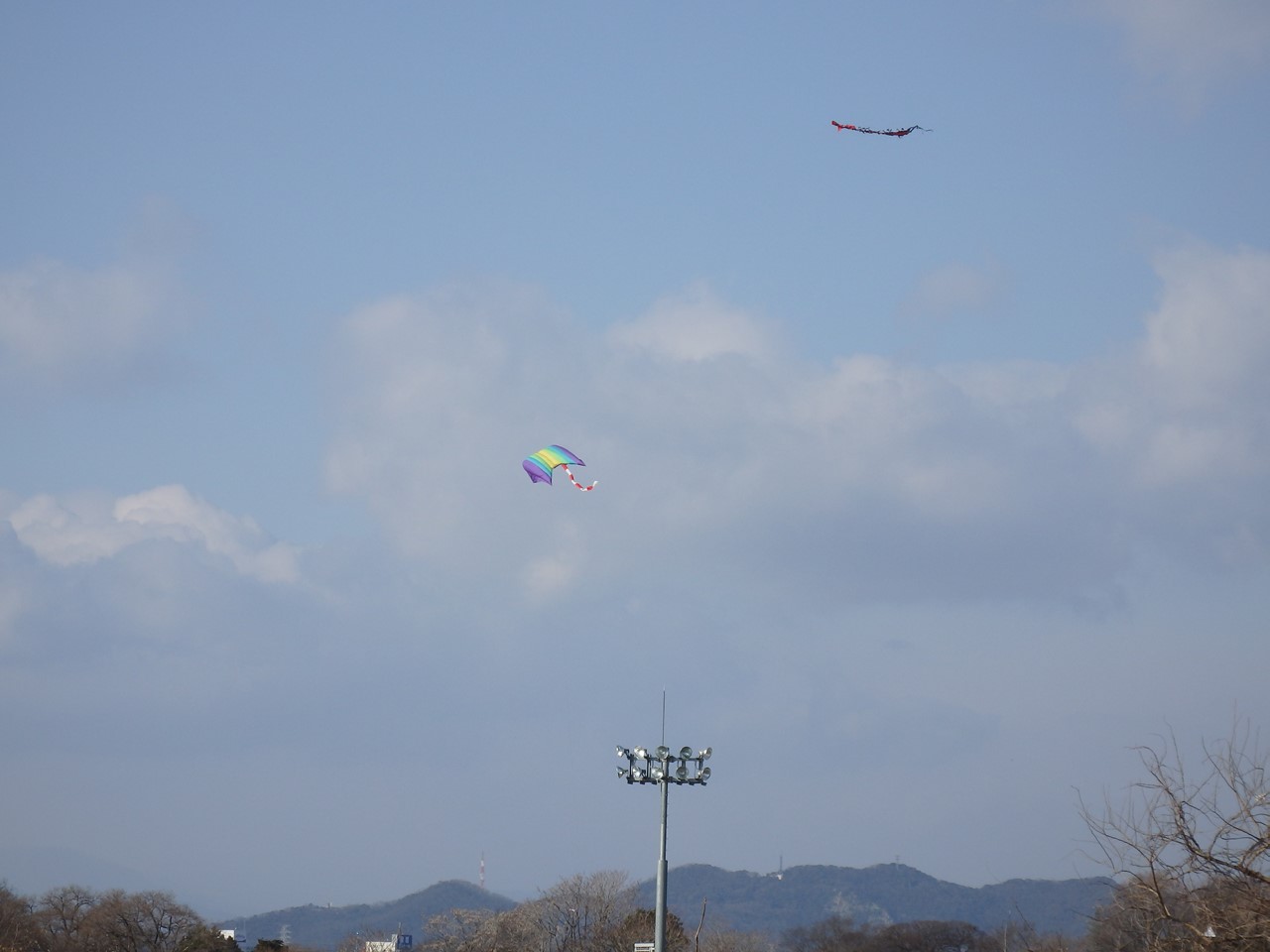 d0054276_20311628.jpg