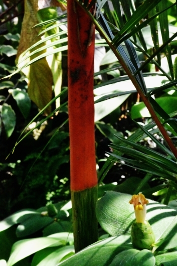 b0329186_07065754.jpg