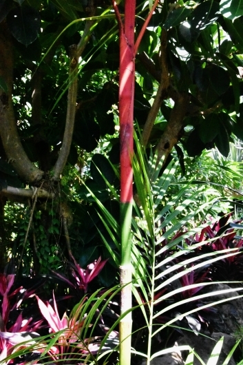 b0329186_07072906.jpg
