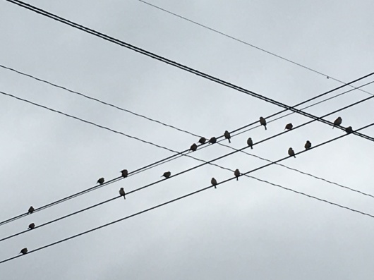 b0336787_22162310.jpeg