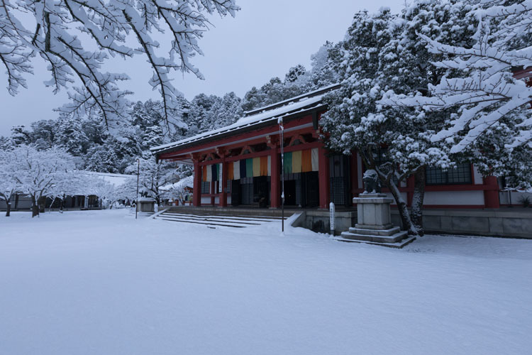 鞍馬寺 ~前編~_e0051888_06141294.jpg