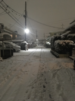 コラボ企画&ソラコトありがとうございました_d0261589_19330521.jpg