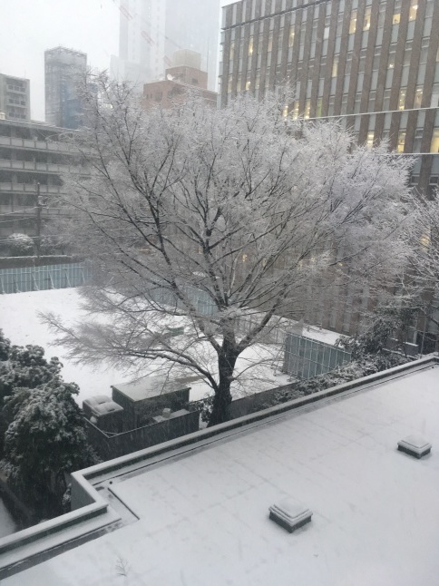 a0129492_21080310.jpeg