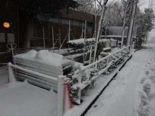 関東地方、4年ぶりの大雪！！_c0223192_23371280.jpg