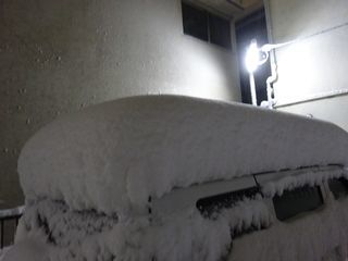 関東地方、4年ぶりの大雪！！_c0223192_23373256.jpg