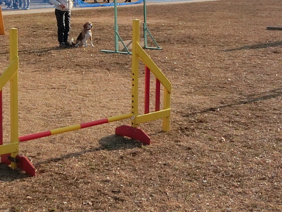 a0319693_7452499.jpg