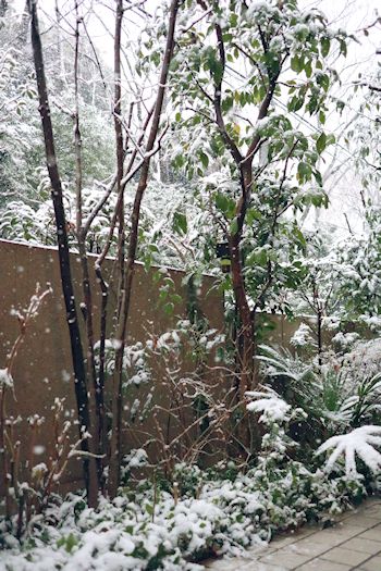 c0090198_17544470.jpg