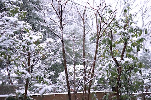 c0090198_17584117.jpg