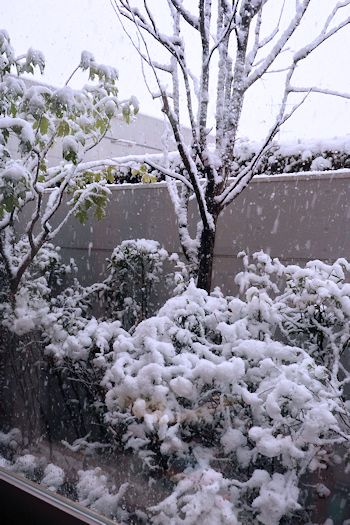 c0090198_1759513.jpg