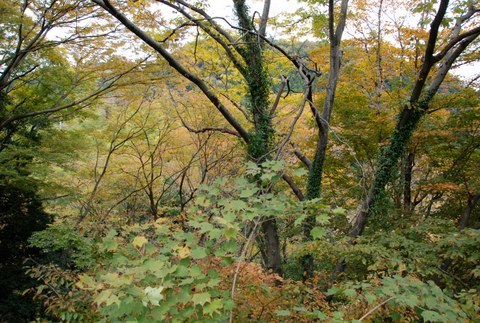 f0326399_18173210.jpg