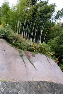 f0326399_18304675.jpg