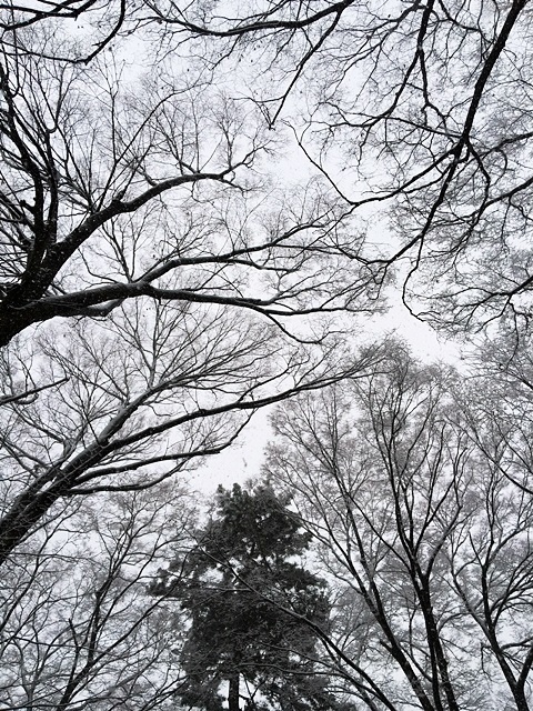 e0277800_22334265.jpg