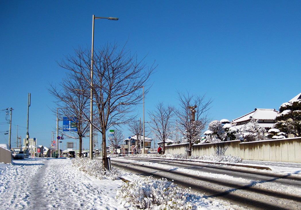 雪　その2_f0195002_10364610.jpg