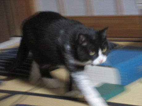 a0203003_21024434.jpg