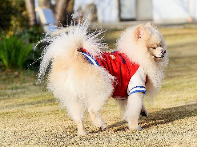 強さより優しさ_d0360206_02311605.jpg