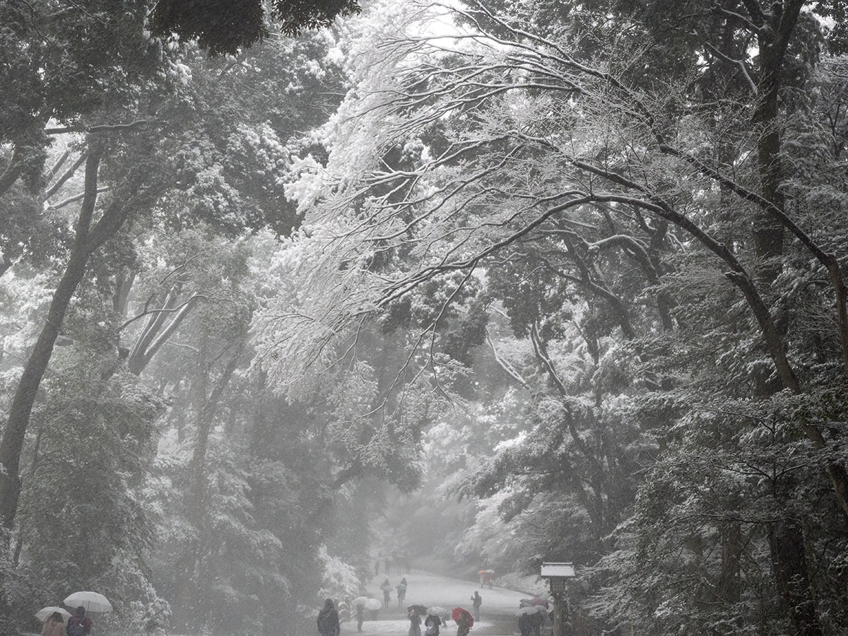 雪は降る･･･　Tombe la neige･･･ 1月22日（月）　6295_b0069507_02033942.jpg