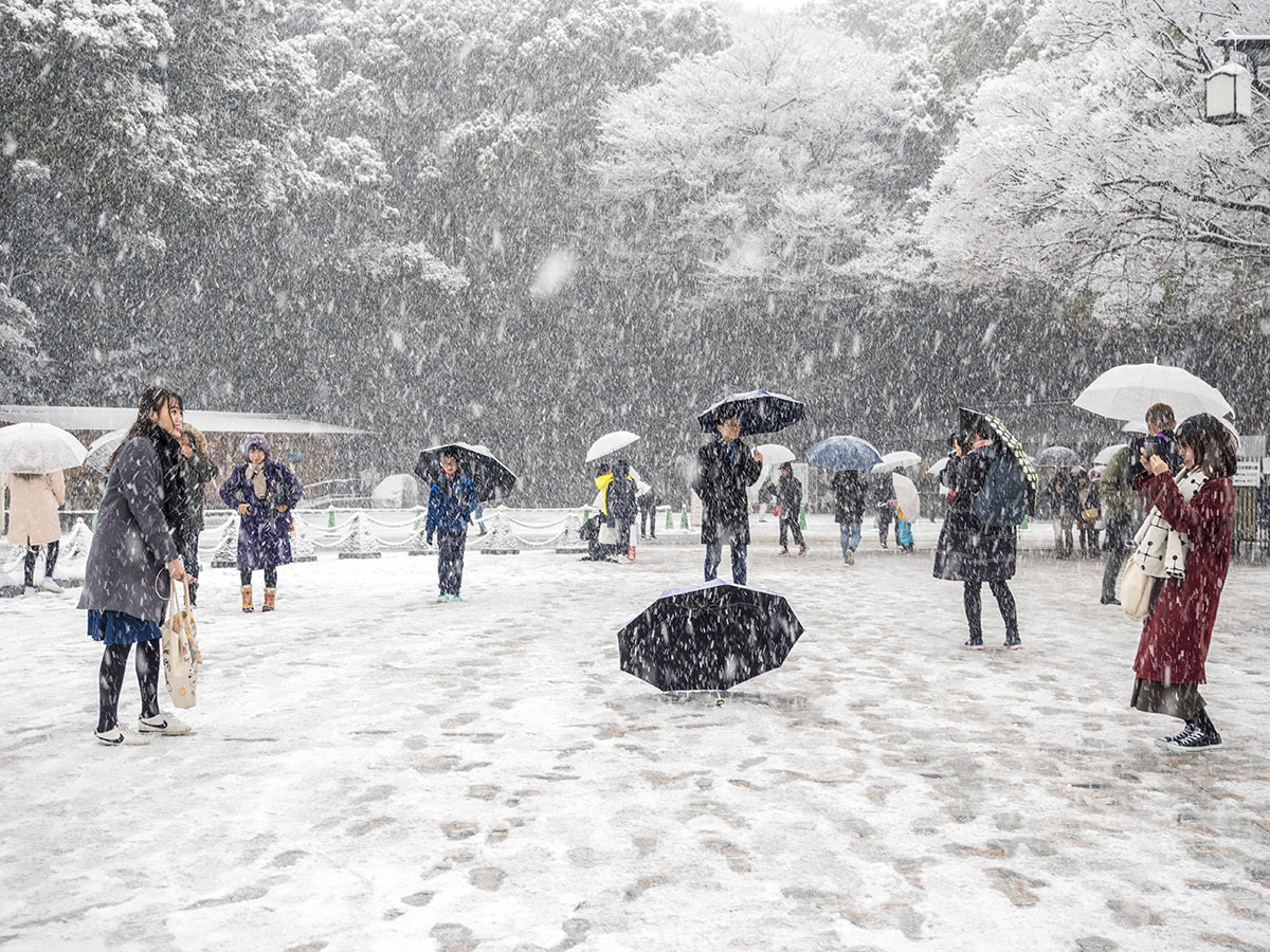 雪は降る･･･　Tombe la neige･･･ 1月22日（月）　6295_b0069507_02045216.jpg