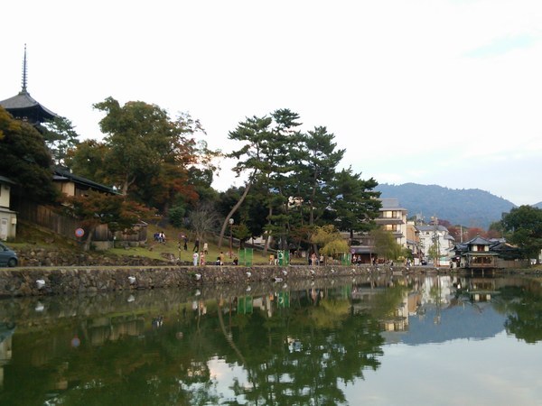 f0221708_11382810.jpg