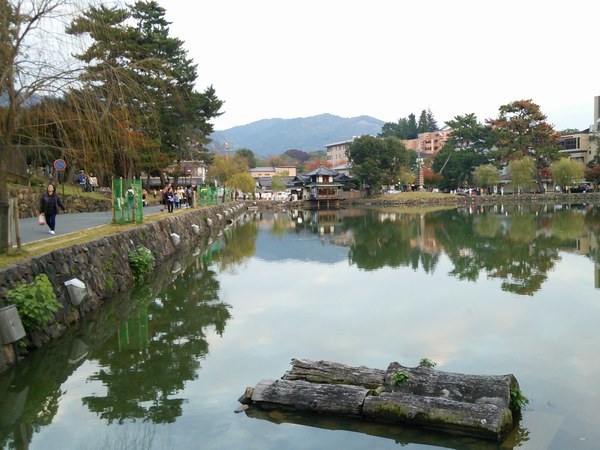 f0221708_11383260.jpg