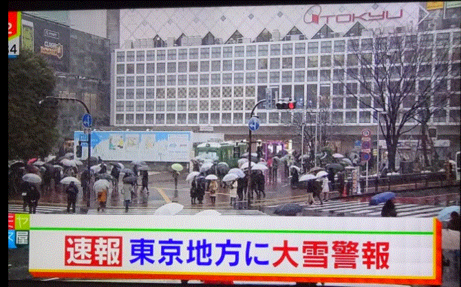 東京地方・大雪警報のニュースなど…2018/1/22_f0231709_11254588.gif