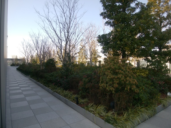 a0216711_14191598.jpg