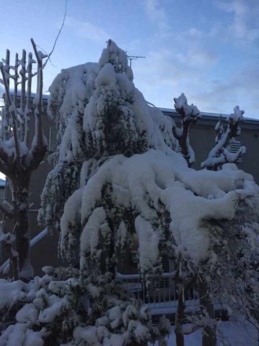 a0251116_19473205.jpeg