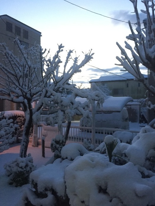 a0251116_19484017.jpeg