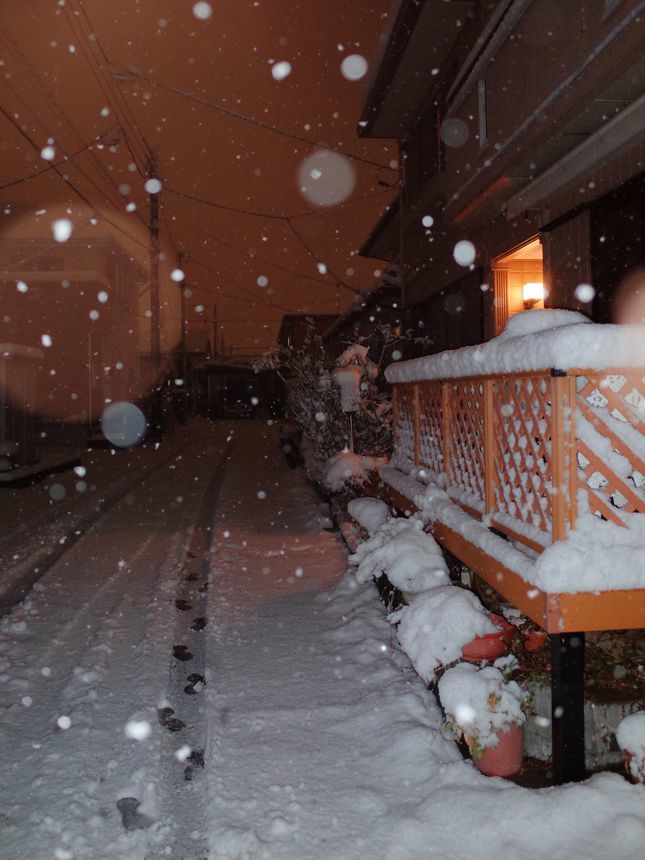 雪の記憶・・・久し振りの降雪を記録しておこうか_a0031821_11105960.jpg