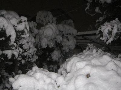 d0065324_120240.jpg