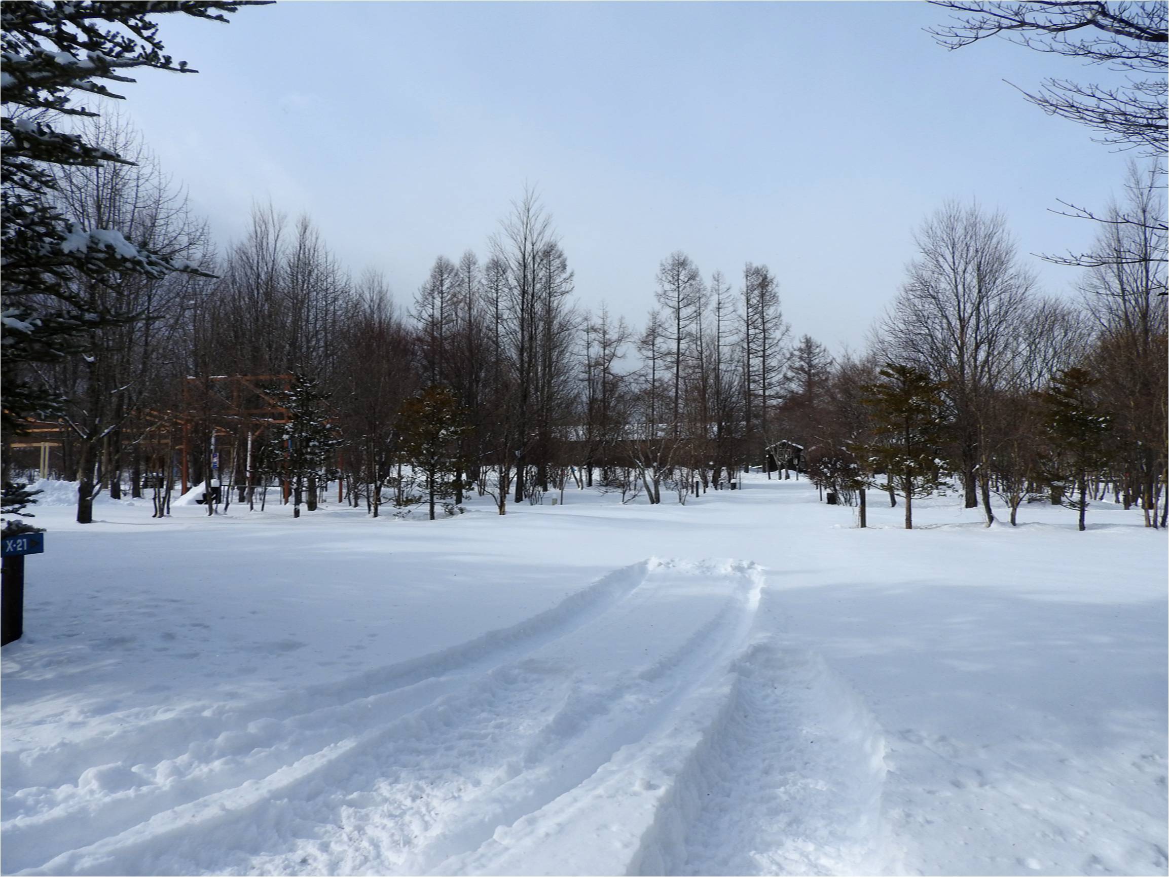 b0174425_16280329.jpg
