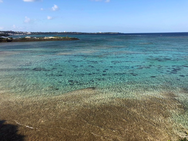 c0188525_23203441.jpg