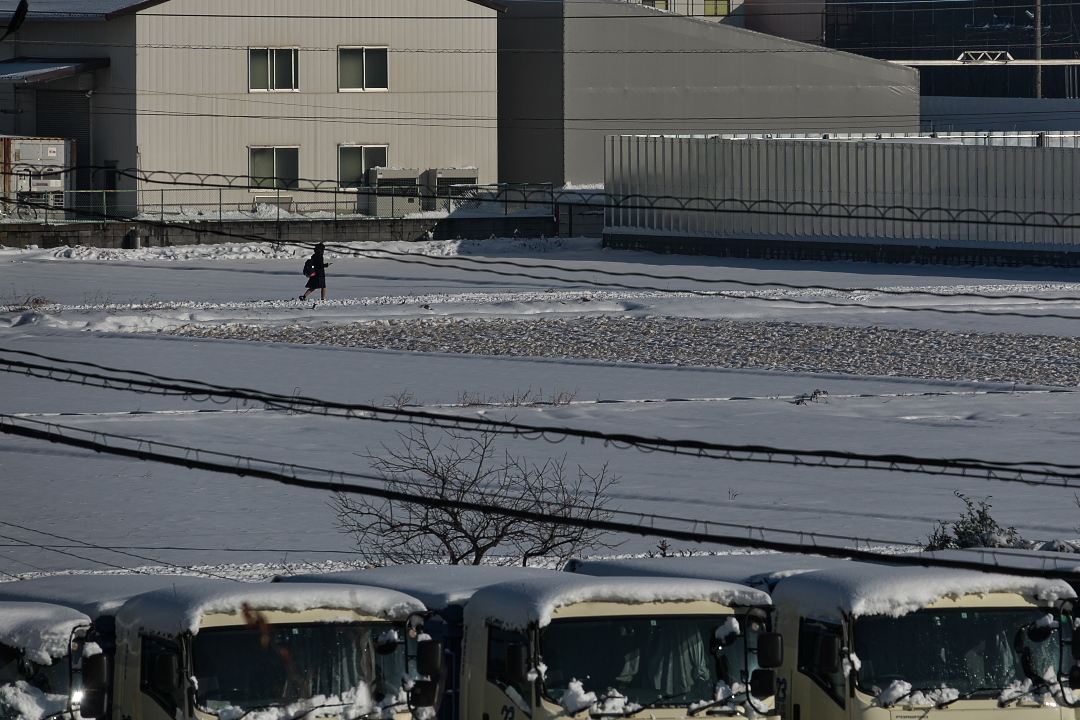 雪レフ、雪レフと云うけれど―――(ヘリ編)_d0137627_23080699.jpg