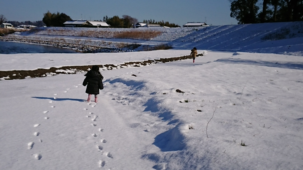e0137130_22430463.jpg
