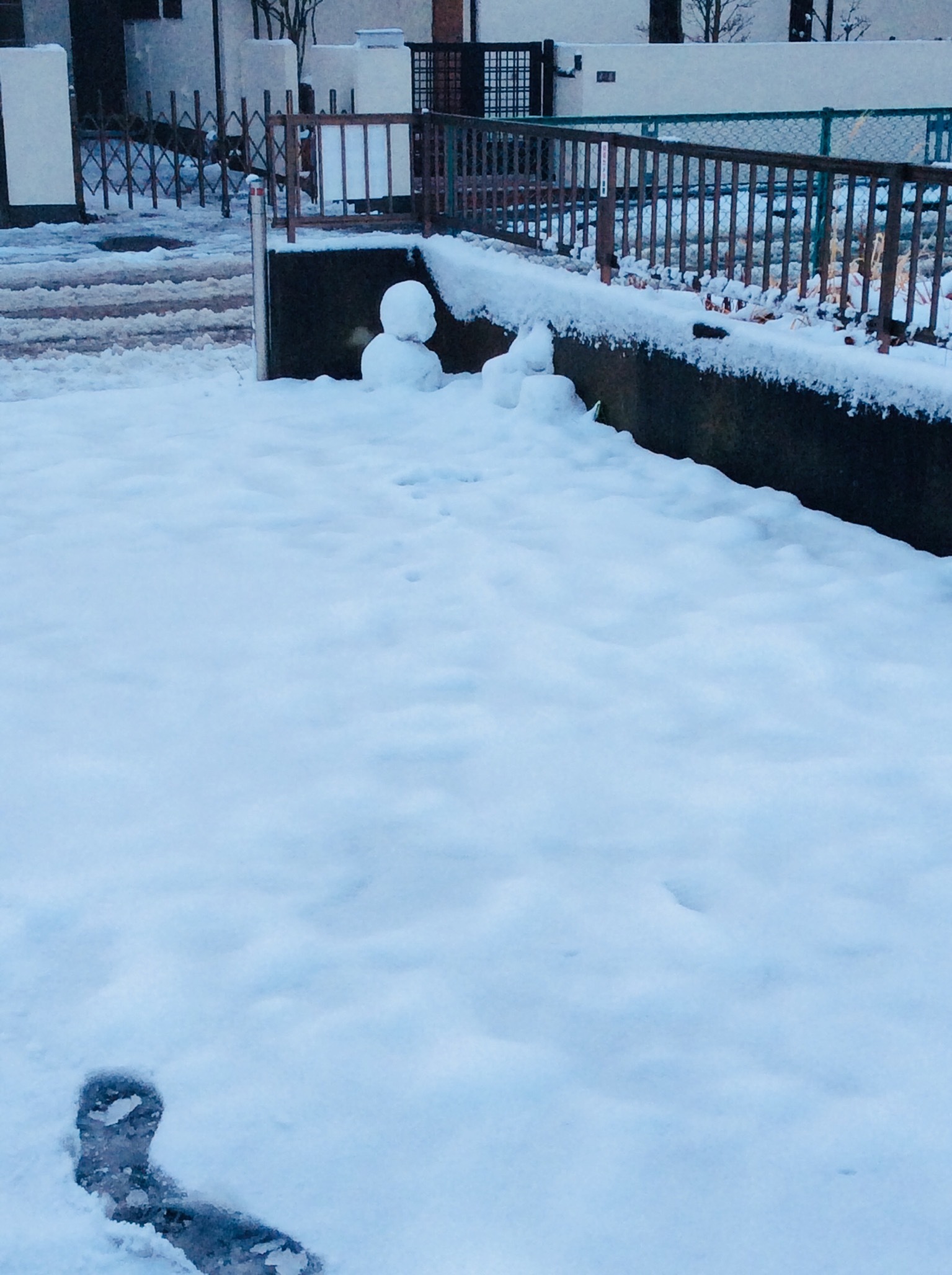d0269832_14131616.jpeg