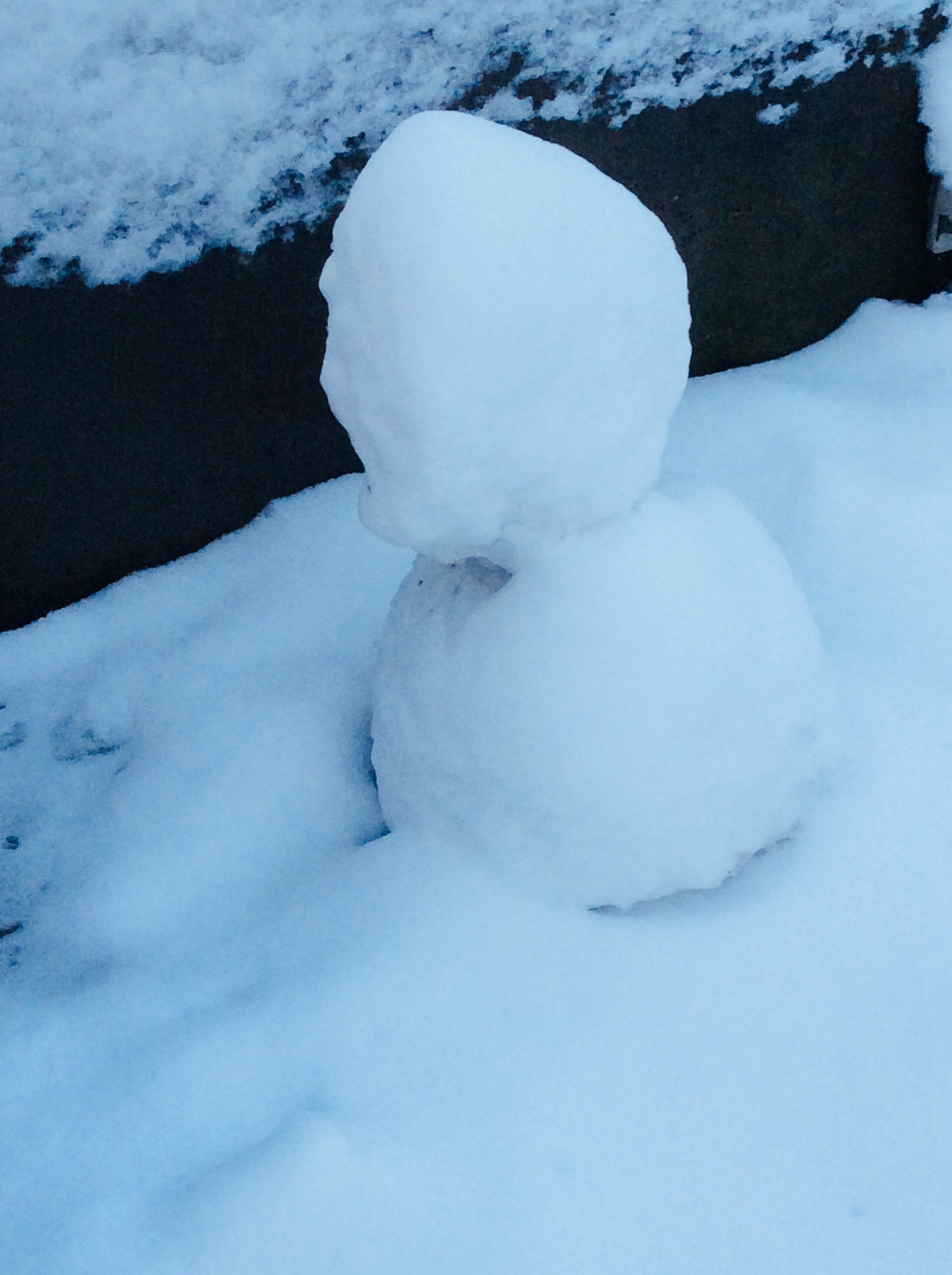 d0269832_14160293.jpeg