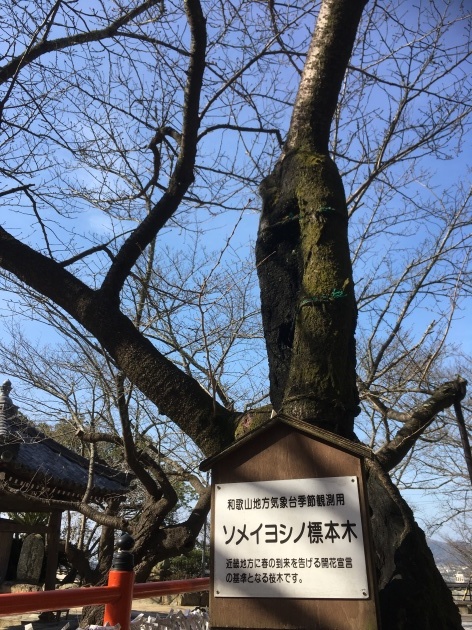 c0199535_13321825.jpeg